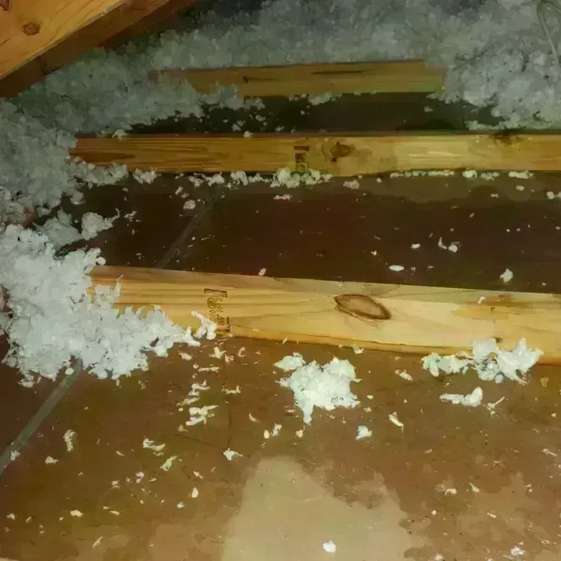 Attic Water Damage in Black Creek, WI