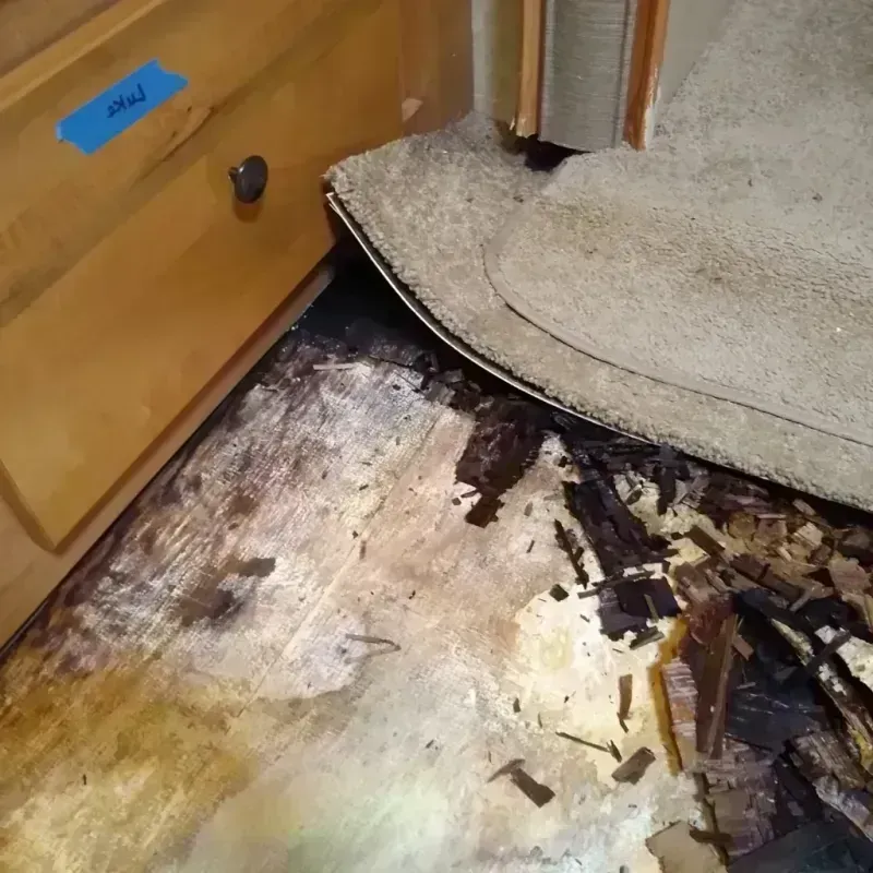 Wood Floor Water Damage in Black Creek, WI